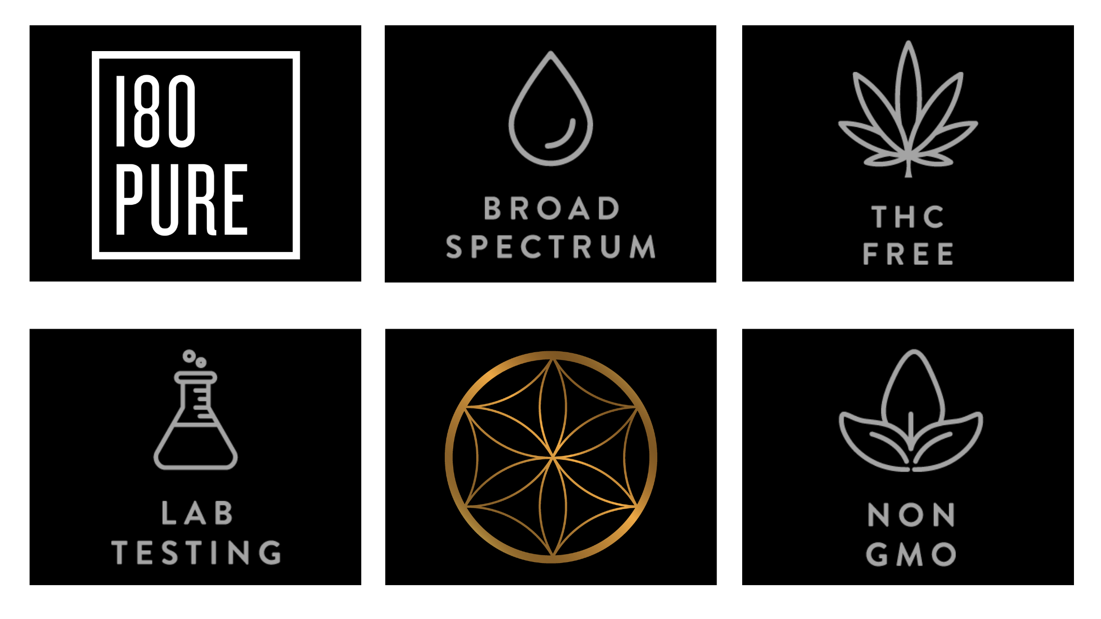 While We Were on Holiday, the Hemp World Didn’t Sleep